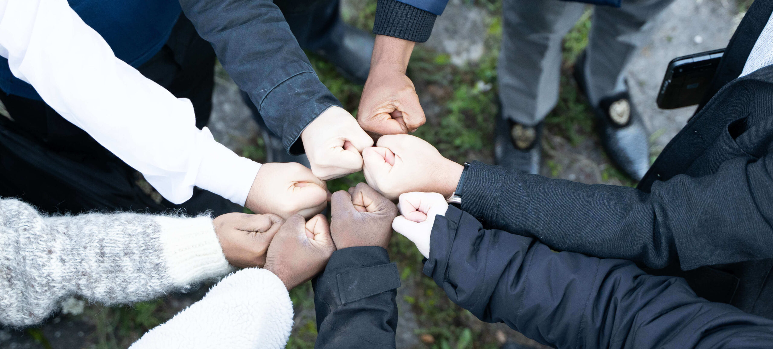 The Team - Professional Collaboration