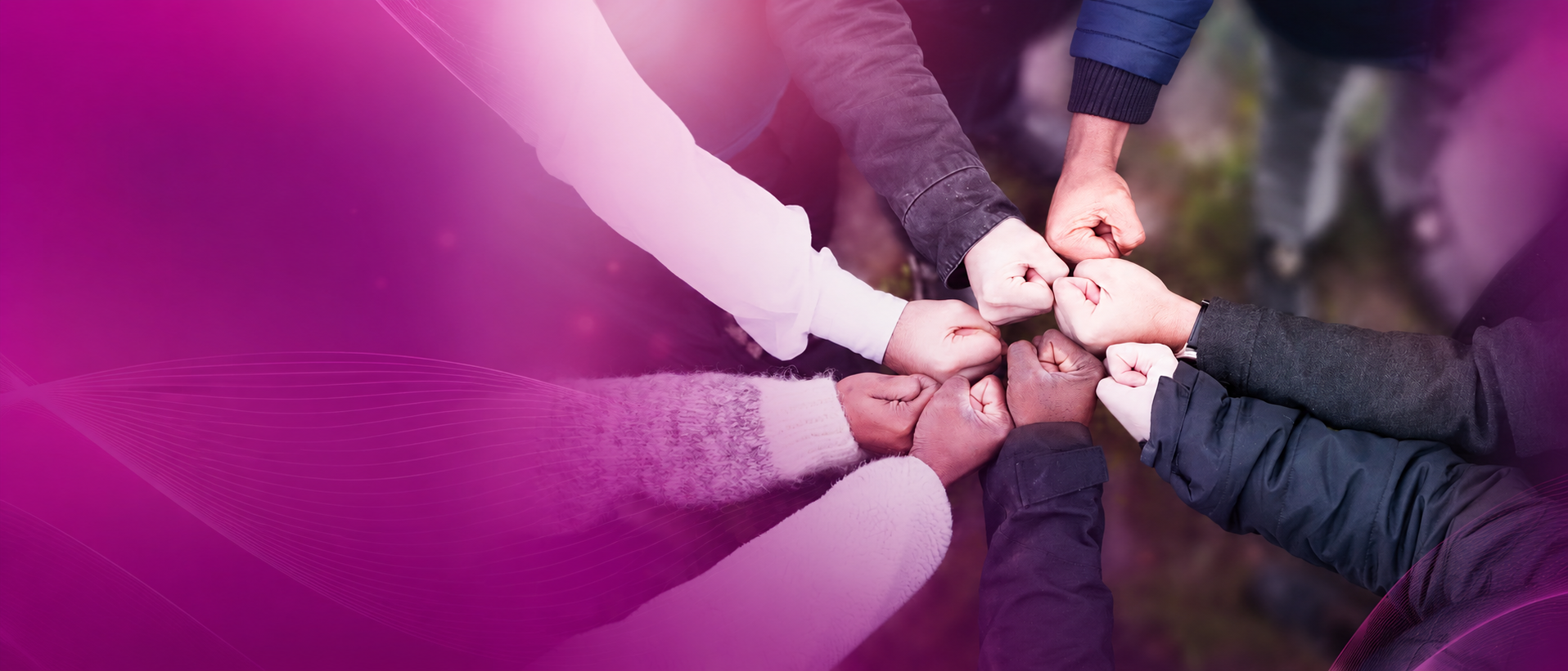 The Team - Professional Collaboration